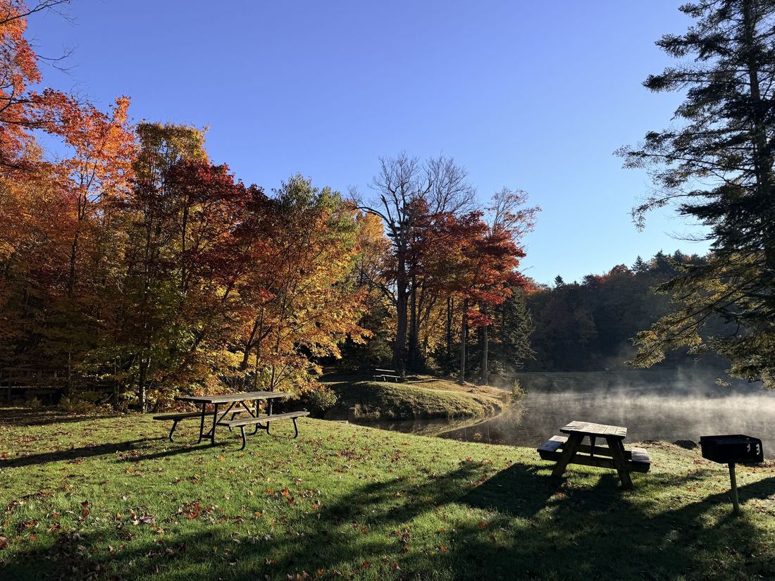 Woodford State Park. Picnic tables, peak color, and the reservoir still steaming.