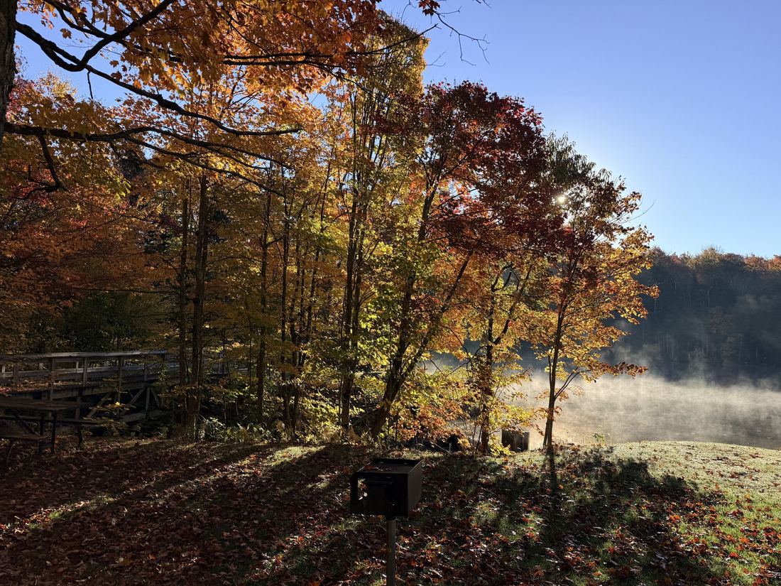 Woodford State Park. Morning sun through the maples, with mist still on the water.