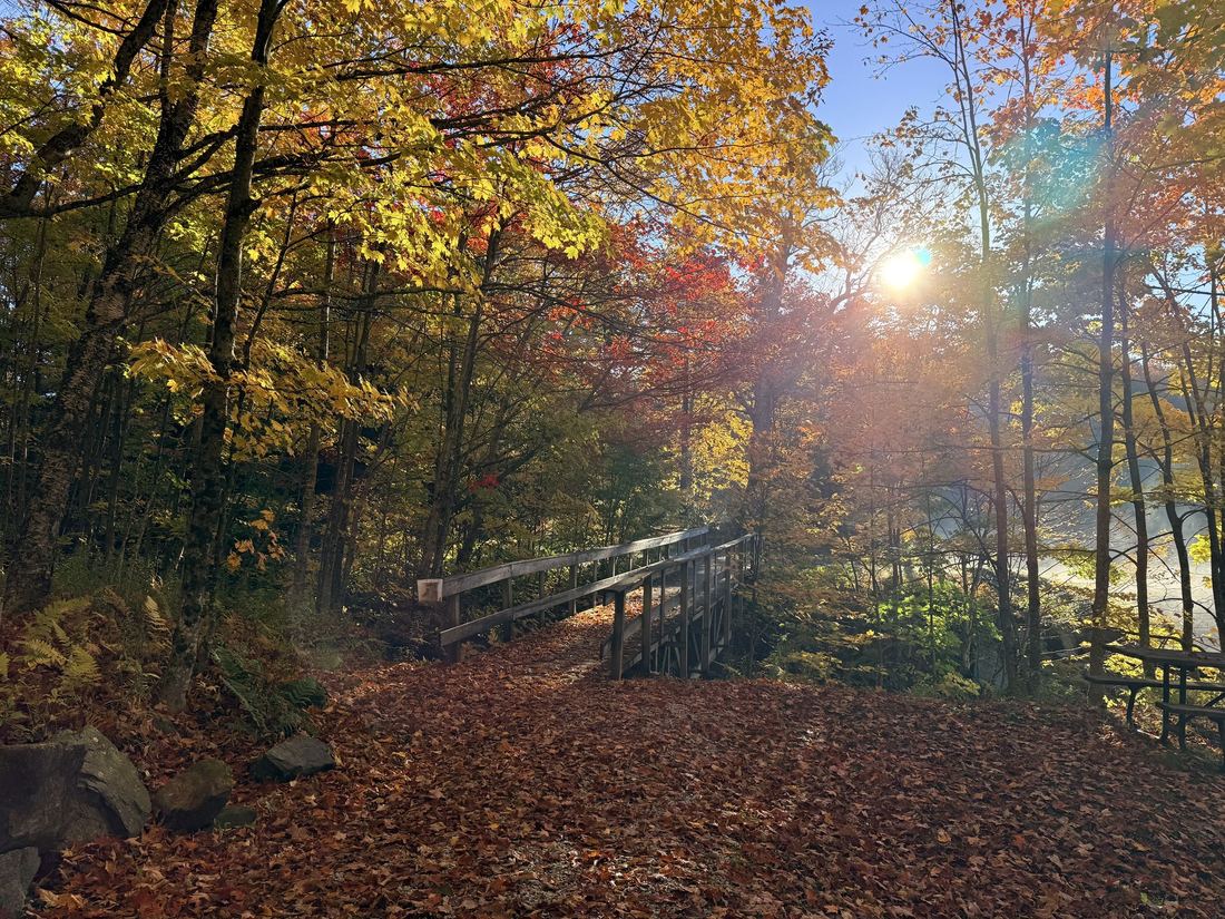 Woodford State Park. A leaf-covered trail and footbridge along the reservoir.