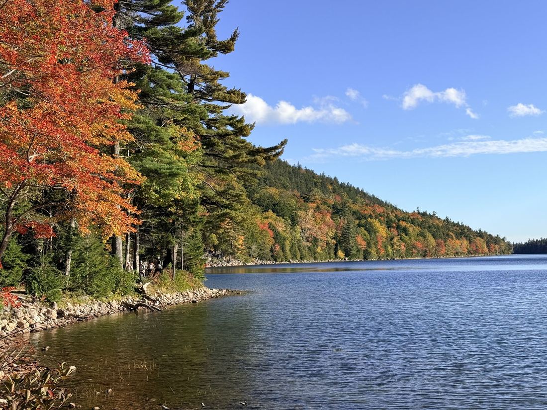 Jordan Pond. Red leaves and tall pines along the shore, Acadia National Park.